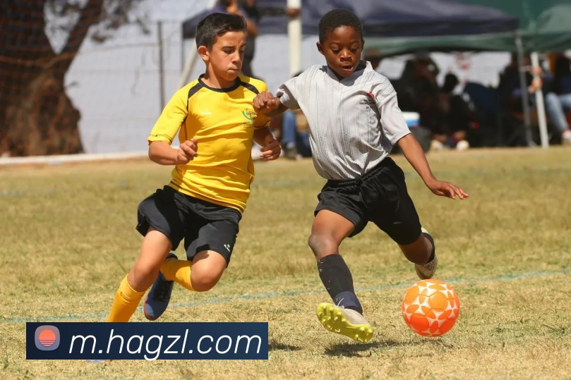 尊龙凯时平台生态图