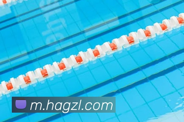 尊龙凯时APP 封面图